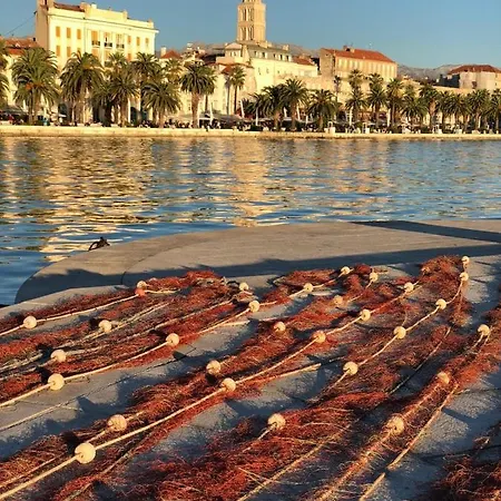 Διαμέρισμα 4 Us