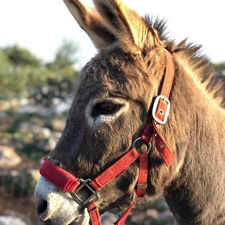 Διαμέρισμα 4 Us Σπλιτ